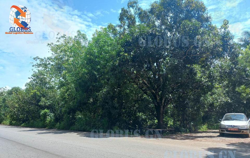 PROJET D'AMENAGEMENT